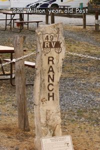 49er0007 | 49er RV Ranch 2