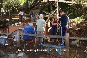 Gold Ray 4 | 49er RV Ranch 2